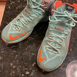 Nike Lebron Size 9 1/2