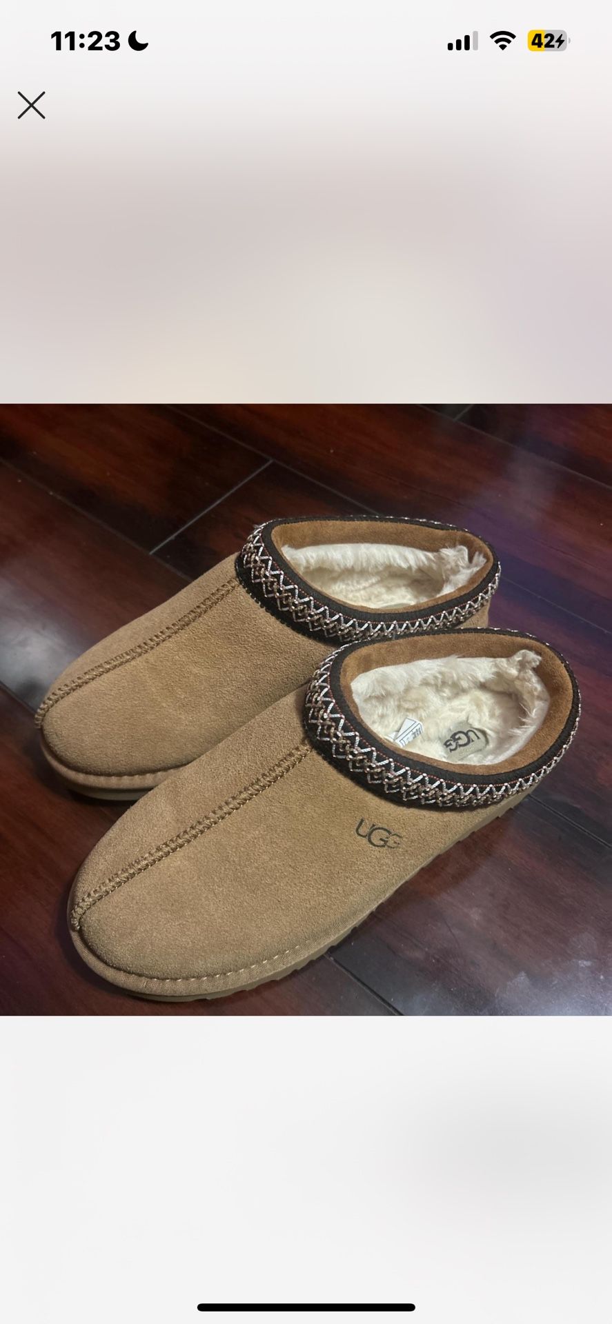 tasman uggs