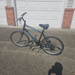 Giant Bike