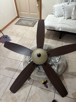 Ceiling Fan 