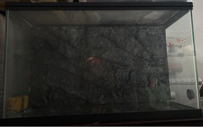 20-30 gallon tank with background