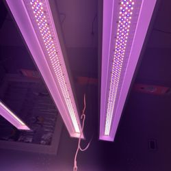 Led Grow Lights 