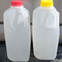 Fresh Bottled Coconut Water  🌴 🥥  💧 