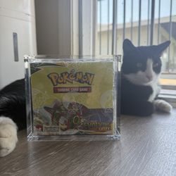 Evolving Skies Booster Box