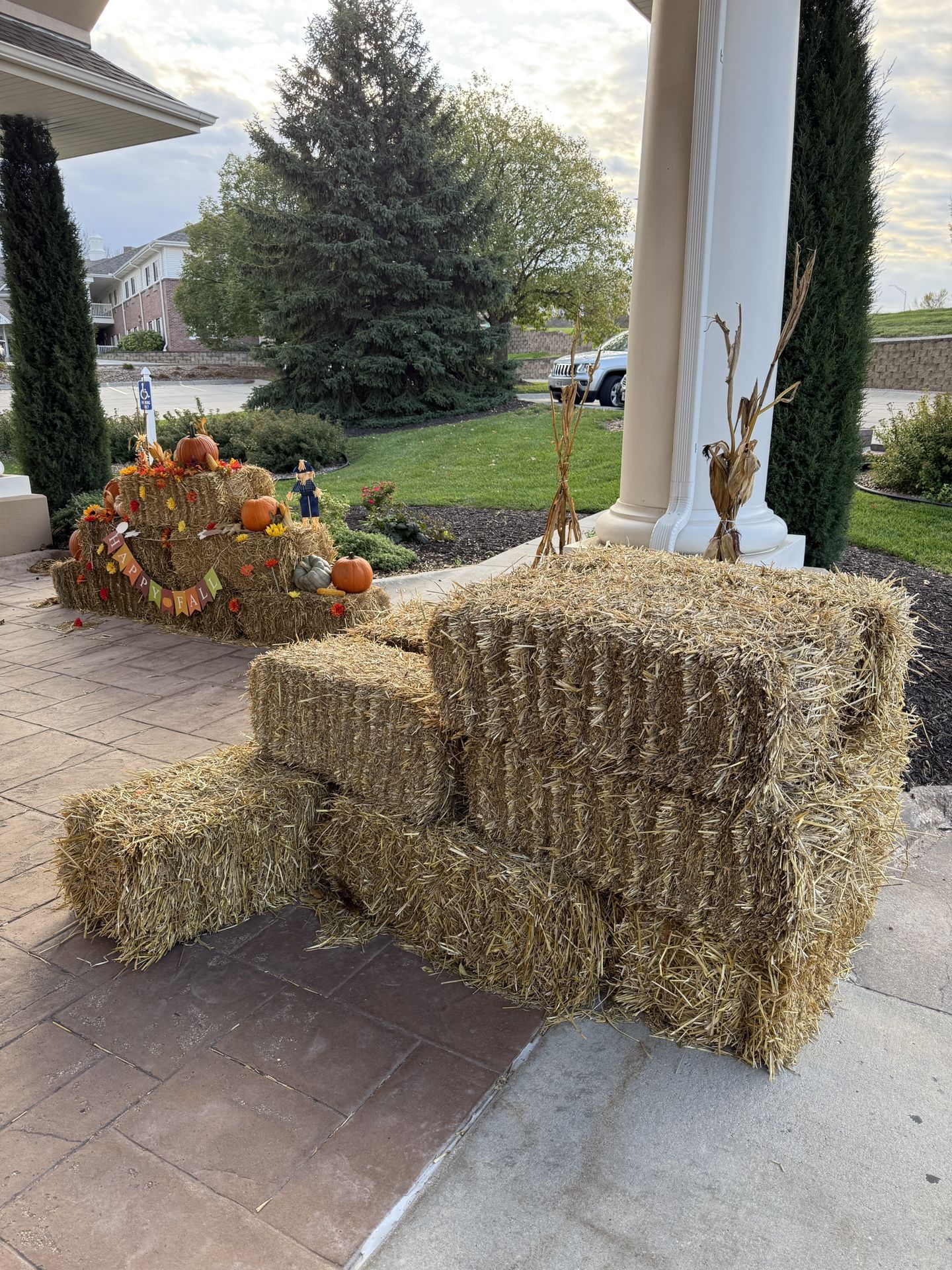 [FREE] 17 Hay Bales Available
