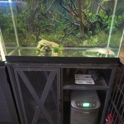 29 Gallon Aquarium 