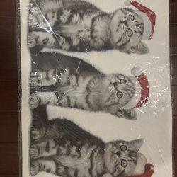 Bathroom / Entry Rugs