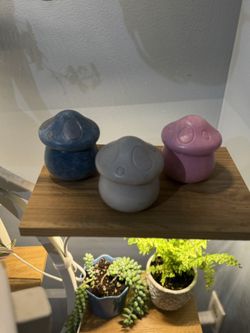 Concrete Mushroom Trinket Box