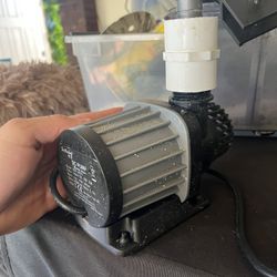 Jebao Dc Pump Sump