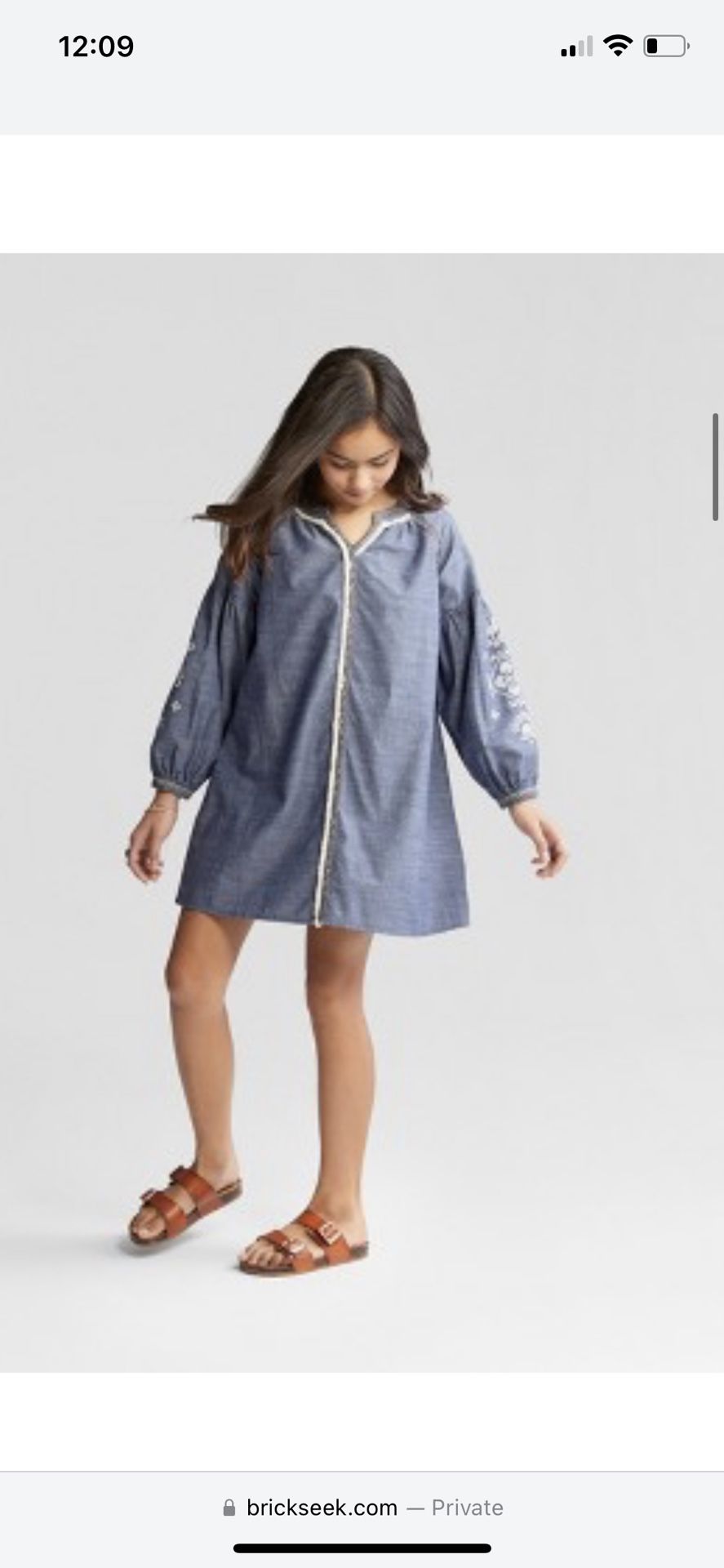 Brand new art class Girl Chambray Dress 