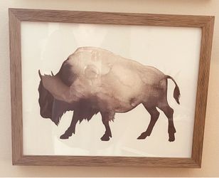 Framed Bison Art Print