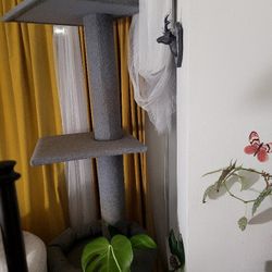 Cat Tree. 