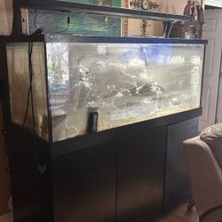 Red Sea 650 XXL Aquarium 