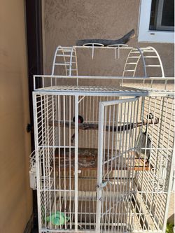 Bird cage