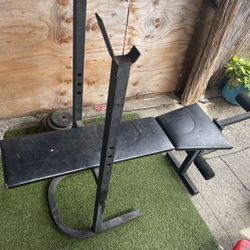 Bench Press with Weights 