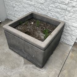 Concrete Planter Boxes.