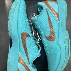 Kobe 6 Proteo Jalen Brunson PE Size 12M In Hand