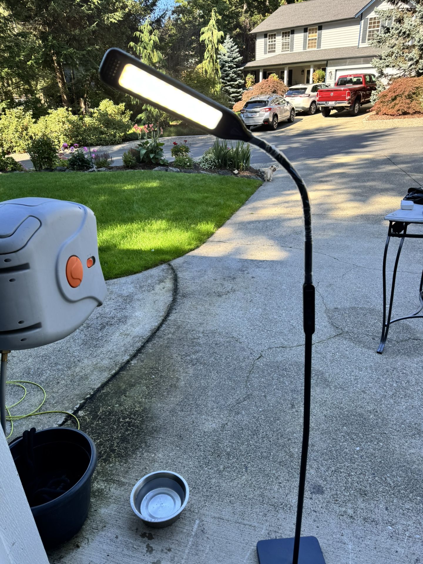 Esthetician/craft Lamp