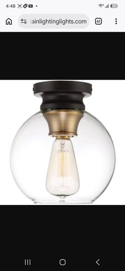 Ceiling light fixture without the glass dome