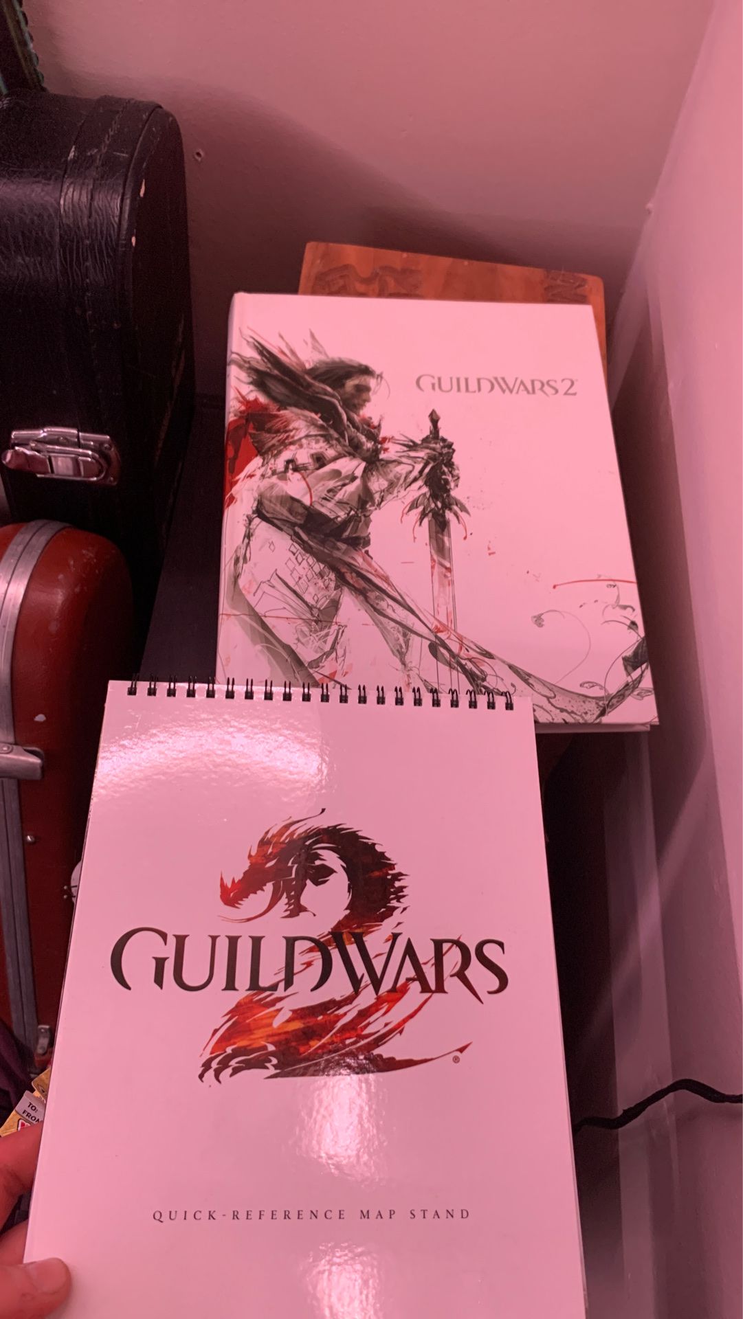 Guild Wars 2 collectors guide and map stand