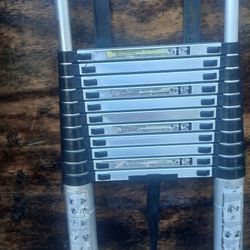 Telescoping Ladder  16 Foot