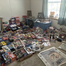 Dale Earnhardt Memobila