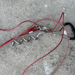 30 Ft  Corkscrew Dog Leash 