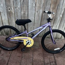 SPECIALIZED HOTROCK WHEELS 20”