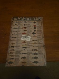 Fish display metal sign