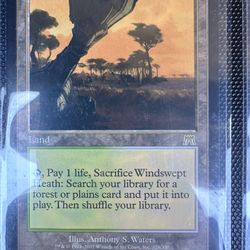 Magic The Gathering Cards 