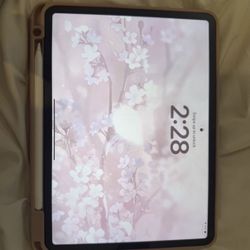 iPad Pro 11” 4th Generation 128 Gb