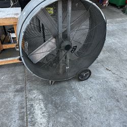Big fan