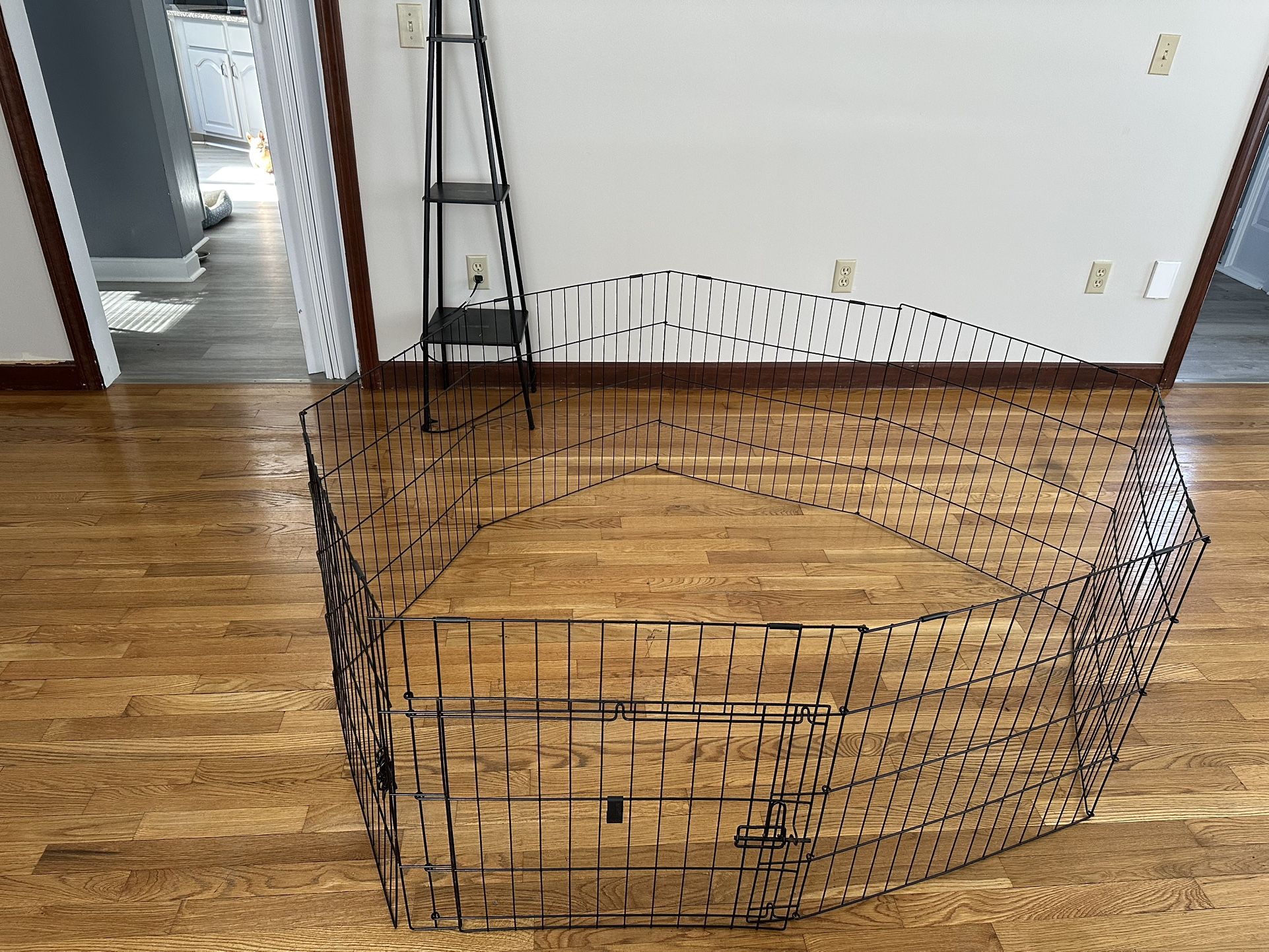 Dog Fence