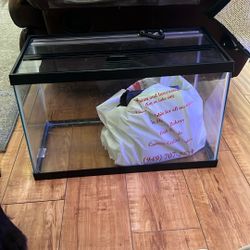 10 gallon aquarium 