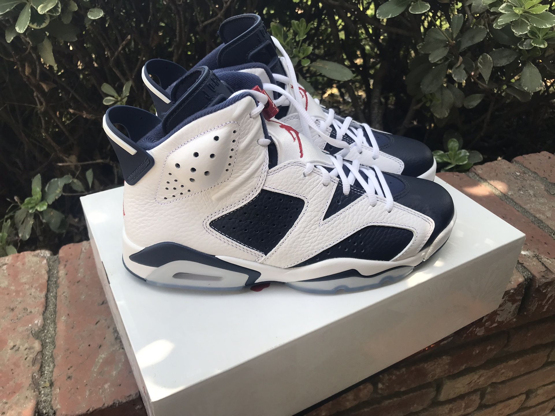 Jordan 6 retro
