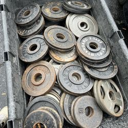 5 pound olympic cast iron plates 