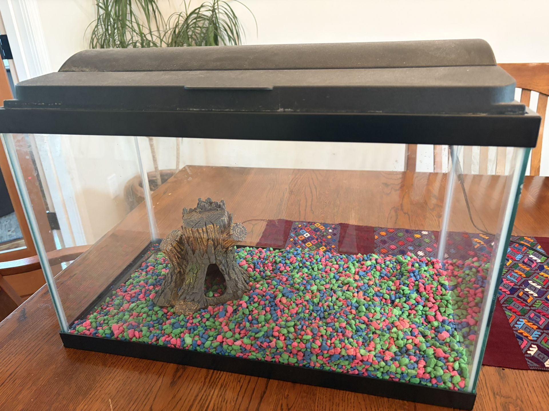 10 Gallon Fish Tank w/ Added Extras