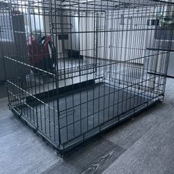 Kong Dog Crate