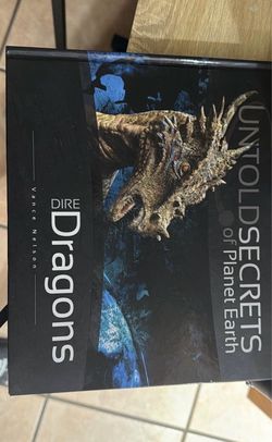 Dire Dragons by Vance Nelson Hardcover Book