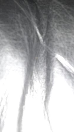 Perfumes de buena calidas nuevos