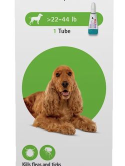 Flea and tick