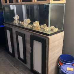 120 Gallon Tank With Stand 
