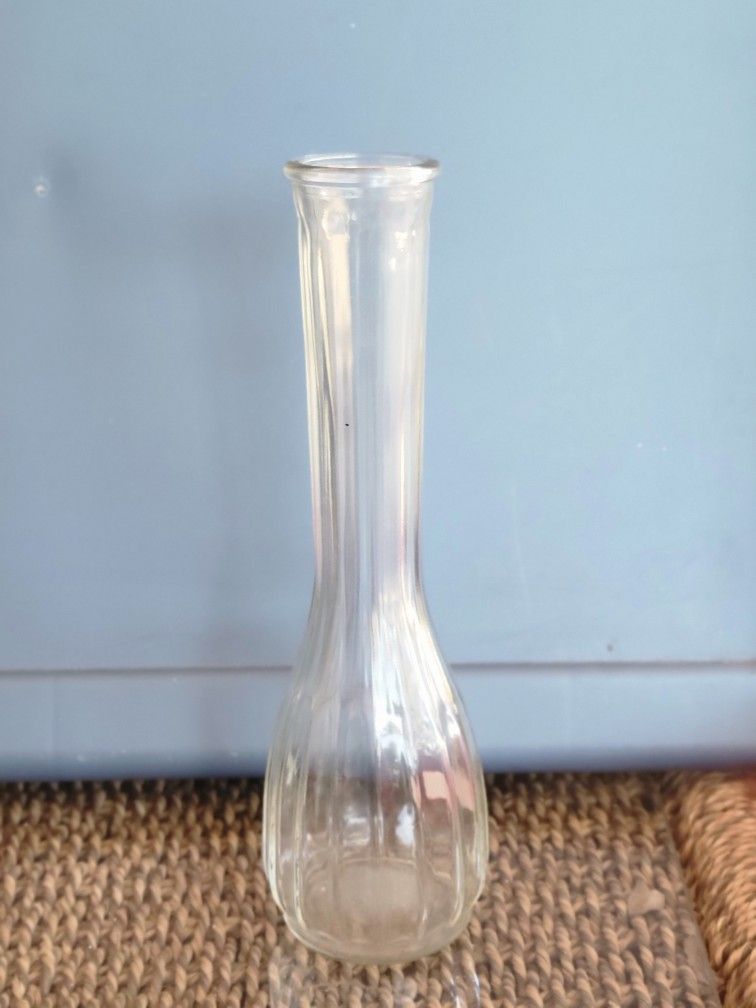 9 Inch Clear Glass Bud Vase