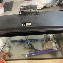 Fish Tank With Everything 30 Gallon