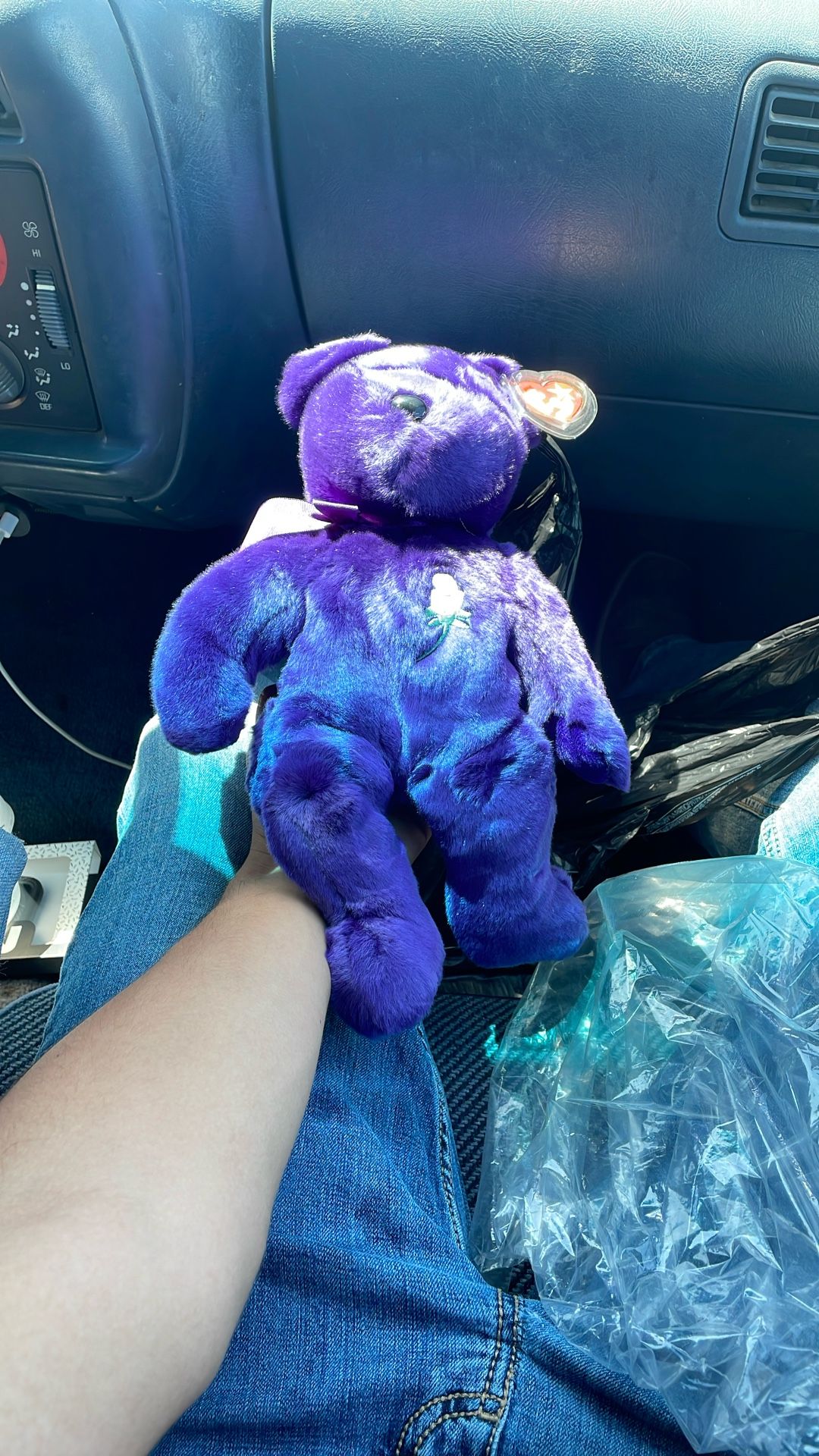Rare Princess Beanie Baby