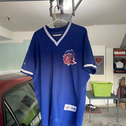 Vintage Wilson Daytona Cubs Minor League Jersey Size 46 (M)
