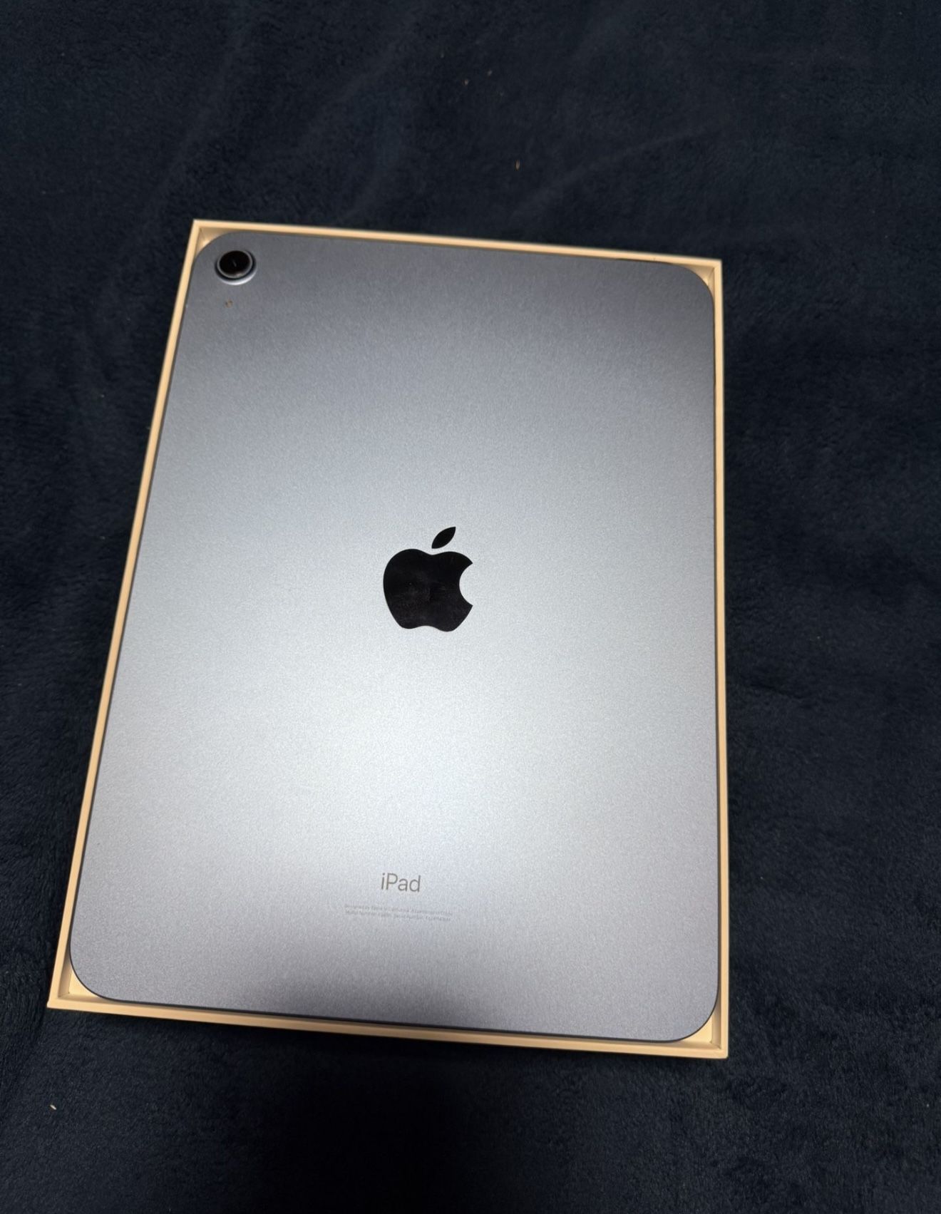 iPad Blue 64gb