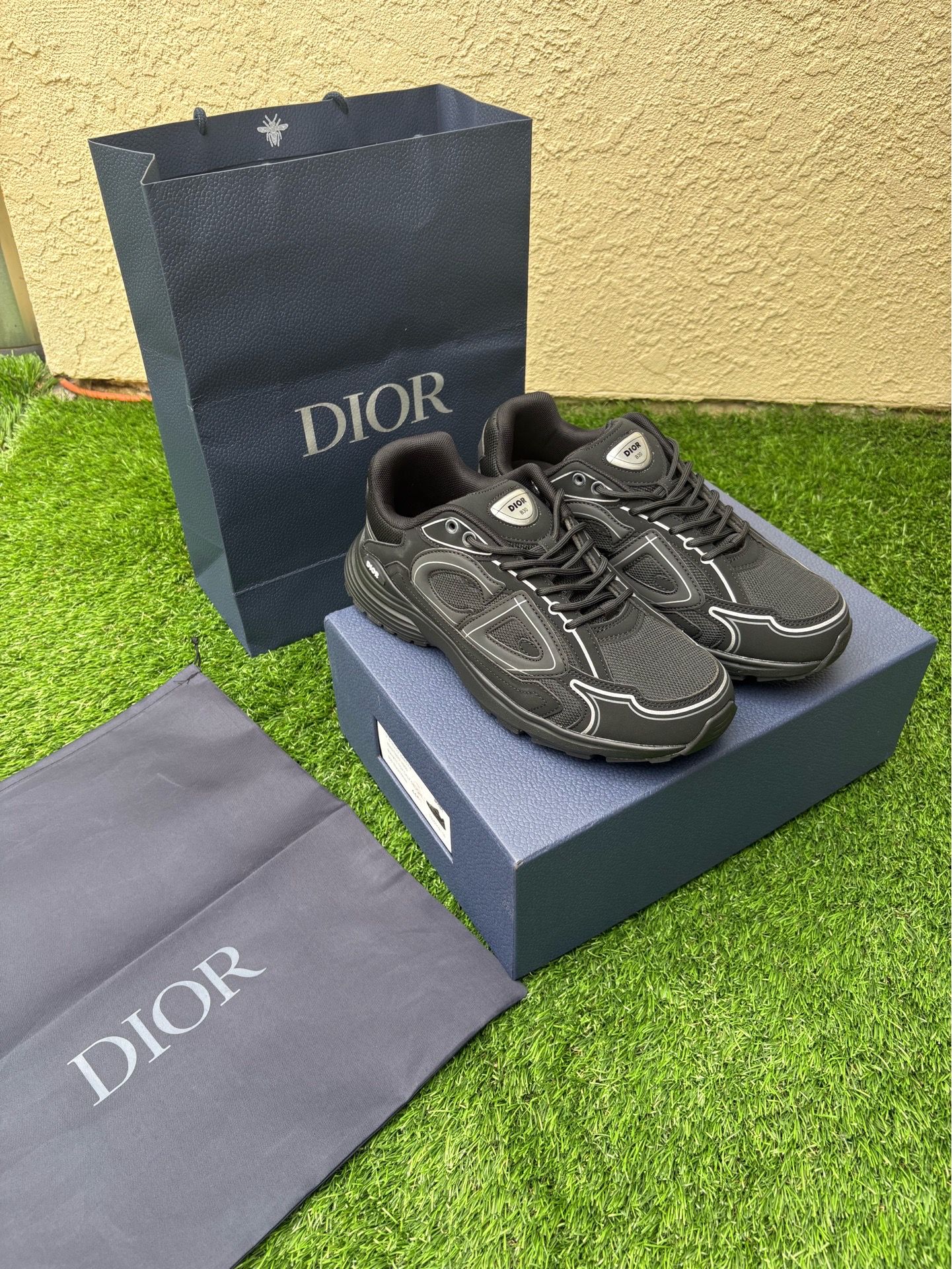 Dior B30 Shoes