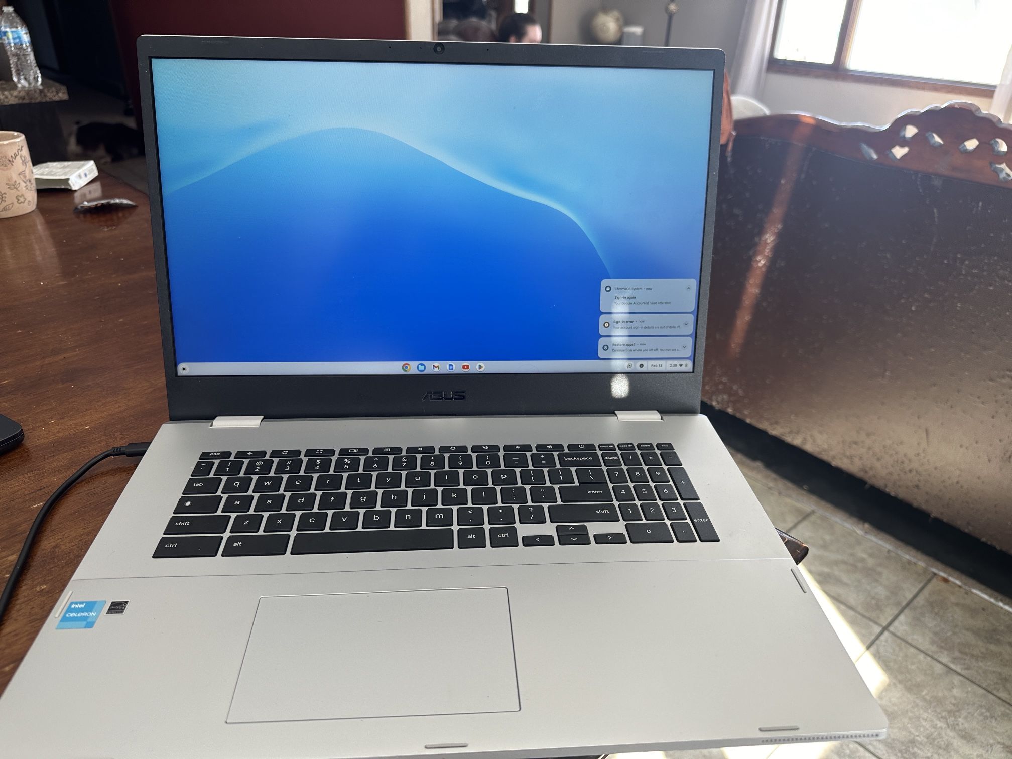 ASUS Chromebook 17” Laptop