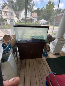Fish tank